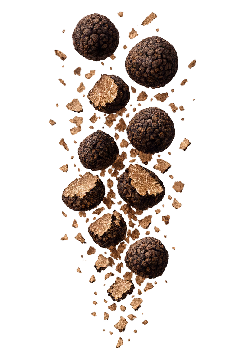 Black truffles, whole and halved